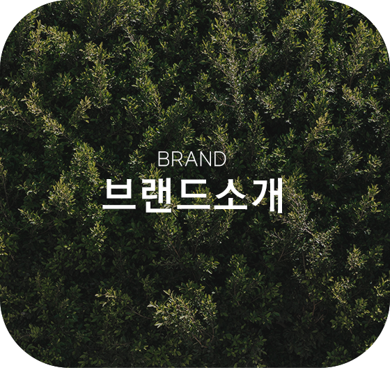 회사소개