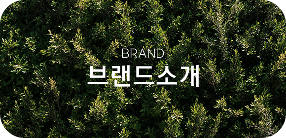 브랜드소개
